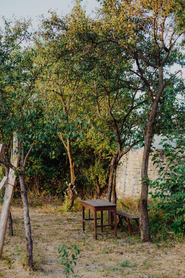 Telavi Tel Aviv Villa ภายนอก รูปภาพ